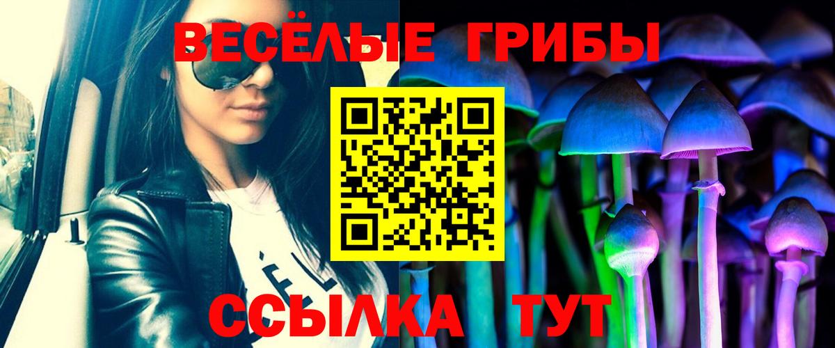 A-PVP Сунжа